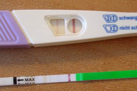 Schwangerschaftstest dm