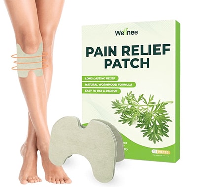 wellnee pain relief patch